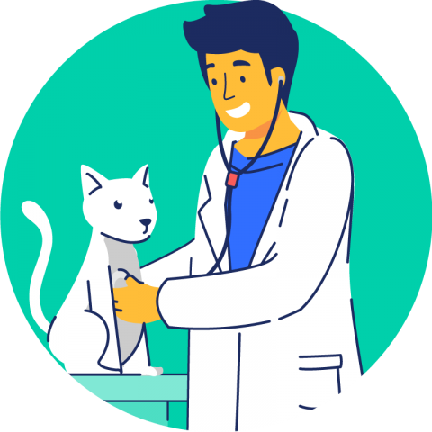 Home - Veterinarian Website